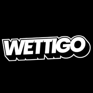 Wettigo logo